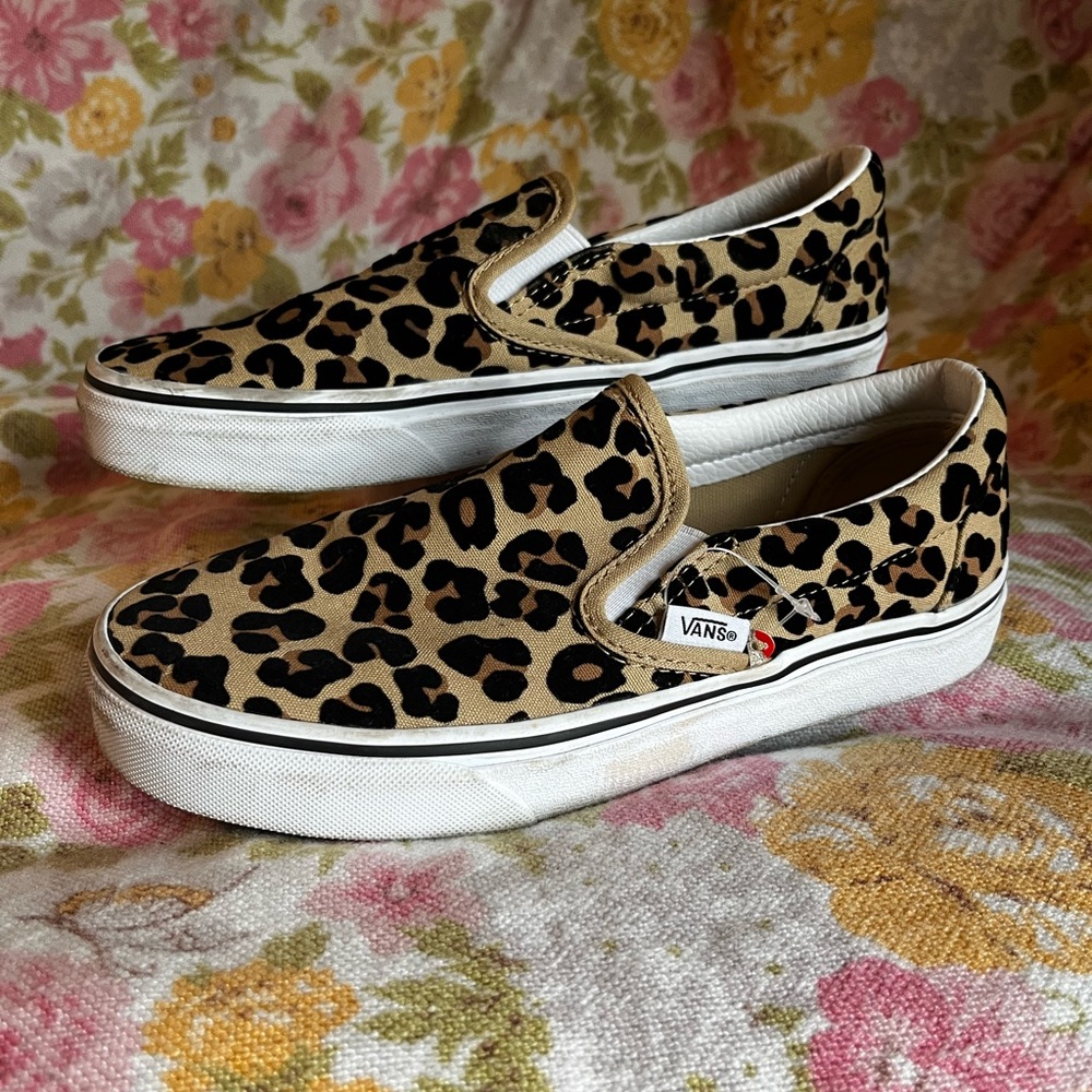 Cheetah Vans 6.5